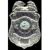 Albuquerque, New Mexico Police Department Badge Pin